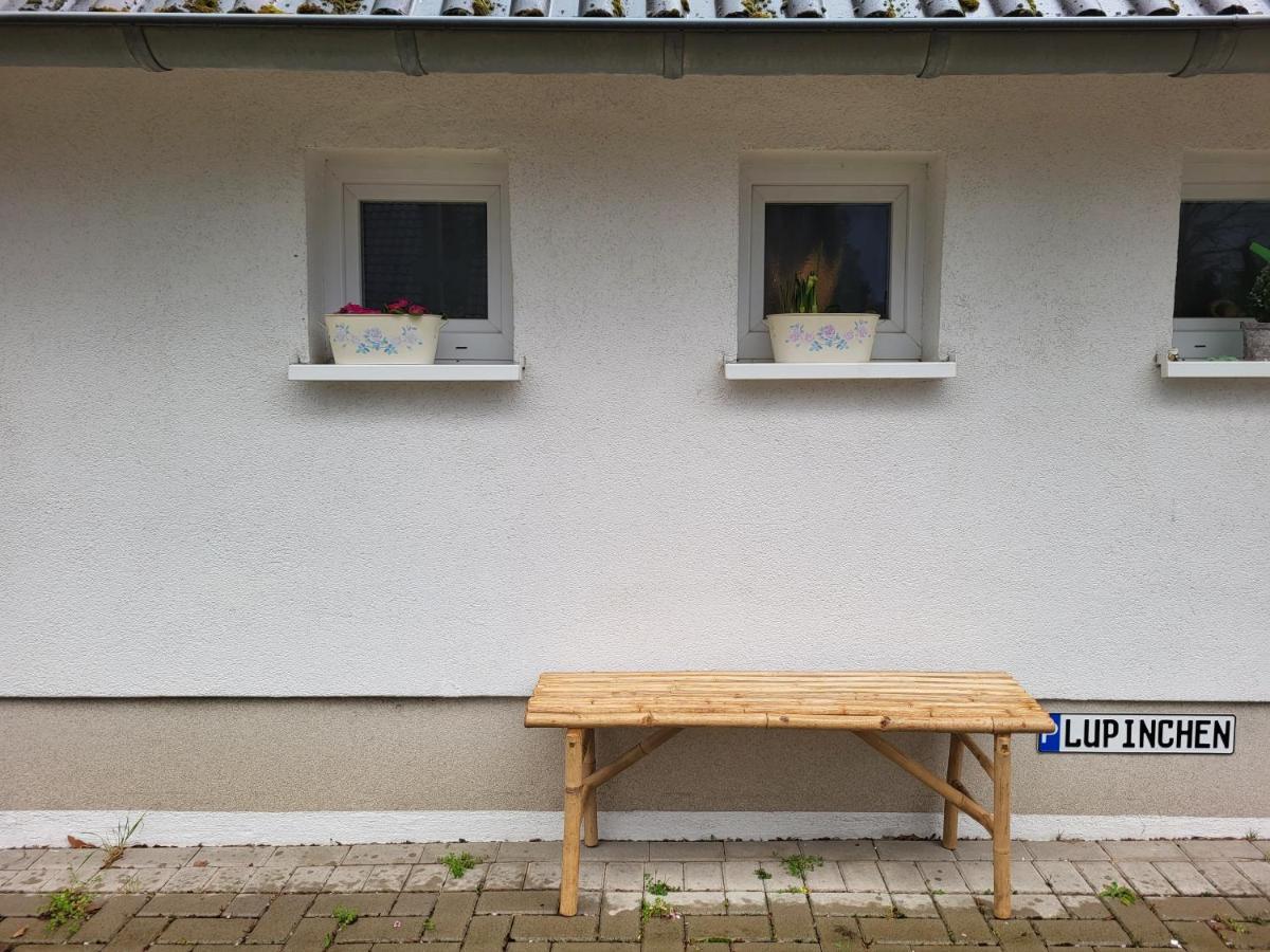 Das Lupinchen Neuss Kültér fotó
